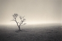 FE82538E-45DA-4408-9D25-BC8A98DFD812.jpeg