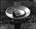 Drinking Fountain, Glen Echo