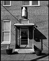 Dairy Door