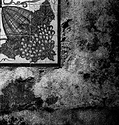 Old walls_055