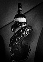Release The Kraken