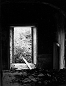 Ruined Farmhouse Interior