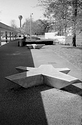UCD