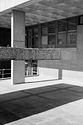 UCD