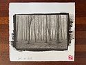 Trees & Fog, 1975