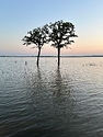 IMG_7602.jpeg