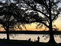 IMG_6970.jpeg