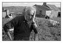 Hebredian sheep farmer