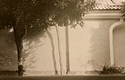 Lith print