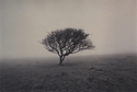 Dartmoor