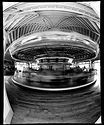 Carousel Inside Fisheye