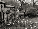 Graveyard