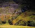 Light and shade on Scottish hillside