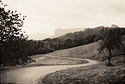 Road in the hills