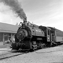 "Jeddo Coal Co. #85"