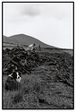 Peat Farming
