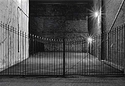 Back Lot