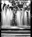 David Fountain, Parque Rio De Janeiro, Roma Norte