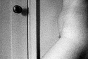 Tummy Profile-2500.jpg