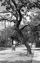 Two Wheel Transportation