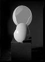 Fractured Egg