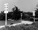 Japanese Banners