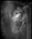 Motion Study 2