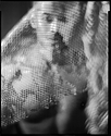 Veiled Portrait