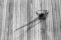 Barn Basketball.jpg