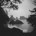 Secret Beach Holga.jpg