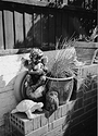 Print from PENTAX 17 01