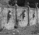 Guardians of the Roses
