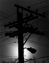 Winter Lines