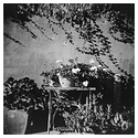Holga Week 24: Sewing Geraniums