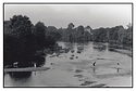 Local Kids crossing the Blackwater River