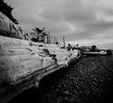 Battered Shore.jpg