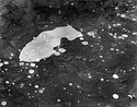 Dark Ice & Bubbles