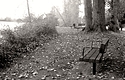 Choose Your Bench - MSA October 2024