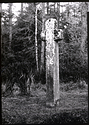 Mauley Cross, North York Moors, UK