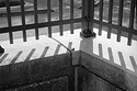 Cbus Shadow 2