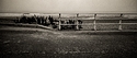 A promenade.