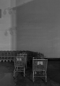 Shopping Carts