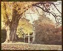 South Lawn
