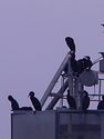 P1020915.JPG