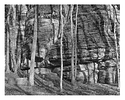 Jeffreys Cliffs Lower Trail South