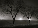 Roadside, Fog