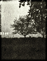 Holga Fomapan 400