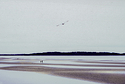 Tides out
