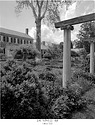 Trellis in garden