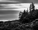 West coast Vancouver Island